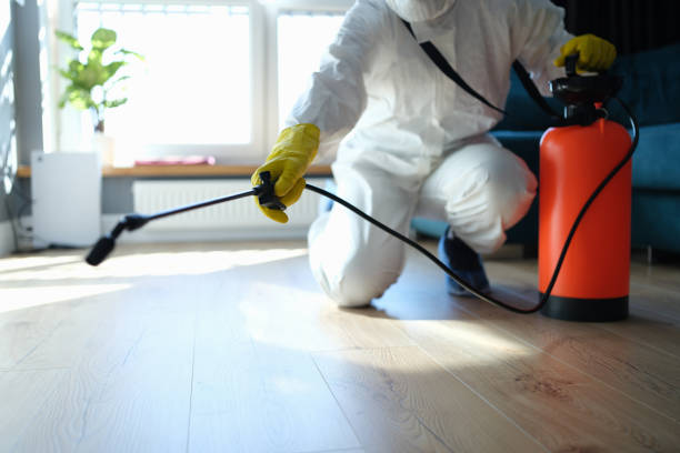 Reliable Infectious Disease Decontamination contractor in Fellows, CA by Crime Scene Cleaner Online